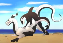 2018 animal_genitalia animal_penis anthro anthro_on_feral beach bodily_fluids cetacean cetacean_penis cum cum_in_pussy cum_inside delphinoid detailed_background dragon duo female female_penetrated feral genital_fluids genitals herpydragon interspecies interspecies_pregnancy jyan_nashson larger_female larger_penetrated male male/female male_penetrating male_penetrating_female mammal marine oceanic_dolphin orca penetration penile penile_penetration penis penis_in_pussy pregnant pregnant_female pregnant_sex seaside sex silvanis_(character) size_difference size_play smaller_male spread_legs spreading tapering_penis tongue tongue_out toothed_whale vaginal_penetration vaginal_penetration wingless_dragon zoophilia