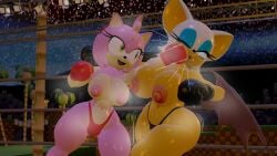 2girls 3d 3d_(artwork) 3d_model action_lines amy_rose anthro bat_wings big_breasts big_nipples big_thighs black_boxing_gloves black_gloves black_thong blue_eyeshadow boxing boxing_gloves boxing_match boxing_ring breasts catfight curvy cyan_eyes duo eyeshadow female female_focus female_only fight fighting fighting_ring furry gloves green_eyes hairband half-closed_eye huge_breasts large_breasts light_skin lips lipstick makeup mobian mobian_(species) mobian_bat mostly_nude motion_lines night nipples one_eye_closed open_mouth outdoors pink_fur pink_hair pink_lipstick punch punching punching_face red_boxing_gloves red_gloves red_hairband red_thong rngsucks rouge_the_bat ryona sega sonic_(series) sonic_adventure_2 sonic_the_hedgehog_(series) thick thick_hips thick_thighs thighs thong topless topless_boxing topless_female white_hair wide_hips wings