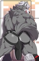 wolf o'donnell from nintendo by matcharyu