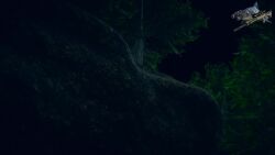 1boy 1boy1girl 1girls 3d 3d_animation 3d_model almost_naked animal_print animal_sounds anthro_female anthro_on_human anthro_on_male artist_logo artist_name ass ass_bigger_than_head ass_cleavage ass_crack ass_focus attack attacked attacking_viewer bbw bbw_furry big_ass big_hips big_thighs bigger_female black_bra black_hair black_panties blender blender_(software) booty booty_focus bra brap breasts breasts_bigger_than_head breasts_squeezed_together brown_fart brown_gas butt_crack campfire camping chubby chubby_ass chubby_belly chubby_female clothed clothed_female clothed_female_clothed_male clothed_male_clothed_female coughing coughing_farts dark-skinned_male dark_hair deadly_fart dominant_female elsharkodiablo facesitting facesitting_in_underwear facesitting_pov facesitting_through_clothes fart fart_attack fart_cloud fart_everywhere fart_fetish fart_torture farting farting_at_viewer farting_in_face farting_in_mouth farting_on_another farting_on_face farts fat fat_female female female_focus femdom flowers flowers_in_background gas gassed gassy gassy_ass gassy_female headscissors hips hips_wider_than_shoulders humansub imminent_death jewelry jumpscare jumpscare_warning jungle jungle_background jungle_girl larger_female lips lipstick long_hair longer_than_10_seconds longer_than_30_seconds longer_than_one_minute male_death male_victim malesub milf moaning moaning_in_pain mommy mommy_kink overweight overweight_female patreon patreon_exclusive patreon_link patreon_reward patreon_url poison_gas pounce pounced pouncing pov pov_ass pov_sub purring red_eyes rubbing rubbing_ass sadism sadistic sadistic_girl shorter_male small_bra small_panties smaller_male smell smelly smelly_ass smelly_farts smothering smothering_ass sniffing sniffing_ass sound stalker stalking stink stink_fumes stink_lines stinkface stinky stinky_ass stinky_fart suffering suffocate suffocating suffocation tagme thick thick_ass thick_hips thick_thighs thighs thighs_bigger_than_head tiger tiger_ears tiger_girl tiger_print tiger_tail tight_bra tight_clothing torture toxic_gas tribal tribal_clothing tribal_girl tribal_jewelry video violent voice voice_acted whiskers