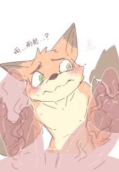 2025 2_penises animal_genitalia animal_penis anthro bananana8729 blush bodily_fluids canid canine countershade_torso countershading disney duo erection fingers fox fur genitals green_eyes hemipenes hi_res looking_at_genitalia looking_at_penis male_only mammal multi_genitalia multi_penis nick_wilde orange_body orange_ears orange_fur penis solo_focus sweat text zootopia