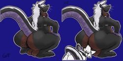 2:1 anthro anus ass balls big_anus big_balls big_butt body_hair butt_hair canid canine crouching duo erection facesitting genitals gtskunkrat gtskunkrat_(character) hairy_balls hybrid long_tail looking_back male mammal mephitid murid murine nose_to_anus overweight overweight_male raised_tail rat rodent sitting_on_another skunk slim squatting_pose stubble tail tongue tongue_out whiskers
