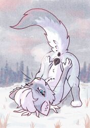 absurd_res animal_genitalia animal_vulva anus arcticos ass ass_up blue_eyes canine_genitalia canine_vulva domestic_ferret female feral genitals grass grey_body grey_vulva hair hi_res lying mammal mustelid musteline nature on_back plant presenting presenting_hindquarters presenting_vulva raised_tail signature simple_background snow solo tail tree true_musteline tuft vulva weasel white_body white_hair