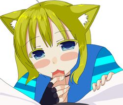 blowjob blue_clothing blue_eyes blush blushing cat cat_ears clothed clothing fellatio indie_virtual_youtuber latam_virtual_youtuber looking_at_viewer penis salas salas_de_vtubers_z self_upload simple_background tagme virtual_youtuber vtuber white_background yellow_hair youtube_source