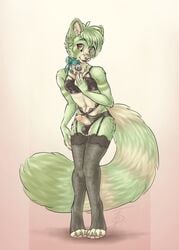 ailurid anthro ash_reeves balls bell bell_collar clothed clothing collar crossdressing erection femboy fur genitals girly hair hi_res humanoid_genitalia humanoid_penis legwear lingerie looking_at_viewer male mammal penis red_panda s00t simple_background smile solo stockings topwear underwear