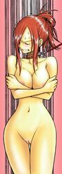 erza scarlet from fairy tail by mashima hiro