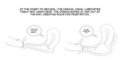 anatomy clitoral_hood cross_section educational erotibot female foreskin male partially_retracted_foreskin penis pussy pussy_juice sex tutorial uncensored uterus vagina vaginal_penetration x-ray