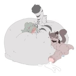 1:1 2018 anthro balls belly big_balls big_belly big_penis bodily_fluids brown_body brown_fur cherrypretzel cum domestic_cat duo ejaculation felid feline felis female fur genital_fluids genitals grey_body grey_fur heart huge_balls huge_cock hyper hyper_balls hyper_belly hyper_genitalia hyper_penis inflation jayde_(caeleste) male male/female mammal penis simple_background terara_(cherrypretzel)