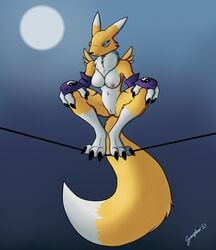 1girls anthro arm_warmers armwear black_sclera breasts clothing digimon digimon_(species) female genitals gravyfox hi_res light moon moonlight nipples nude outside pussy renamon sky solo squatting