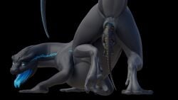 absurd_res anus ass_up black_background blue_anus blue_eyes blue_insides blue_stripe blue_tongue crouching dragon duo female feral feral_unbirthing_feral genitals grey_body grey_scales hi_res jinnoaka larger_female living_dildo looking_at_another looking_at_partner looking_back male open_mouth pussy pussy_insertion raised_tail scales simple_background size_difference smaller_male stripes tongue tongue_out unbirthing vaginal_penetration vore whiteperson wingless_dragon yellow_stripes ziina