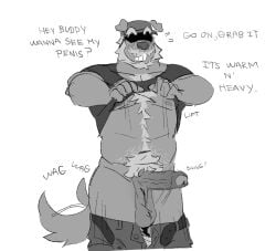 anthro asking asking_viewer ball_tuft balls baseball_cap beard belly_tuft belt big_penis blush bodily_fluids body_hair boing bottomwear bottomwear_down bouncing_penis bunnbnui canid canine canis chest_tuft clothed clothing clothing_lift coercion crotch_tuft describing_genitalia describing_penis domestic_dog english_text erection excited excited_for_sex eyebrows facial_hair fur furgonomic_hat furgonomic_headwear furgonomics genitals grey_body grey_fur greyscale happy_trail hat hat_over_eyes headgear headwear hi_res inviting leading male mammal monochrome musclegut muscular mustache nipples open_belt open_bottomwear open_clothing open_pants pants pants_down partially_clothed penis raised_eyebrow saggy_balls shirt shirt_lift simple_background smile solo stinkdierr sweat tail tail_motion tailwag talking_to_viewer text thick_eyebrows topwear tuft vein veiny_penis wolf