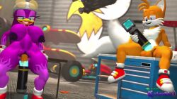 3d 3d_animation animated anthro avian balls bird breasts cock detached_penis fox furry genitals gloves indoors looping_animation male penetration portal portal_sex sarah_dellen sarahdellen sega sfm shoes shorter_than_10_seconds sonic_(series) sonic_riders sonic_the_hedgehog_(series) sound source_filmmaker swallow tagme tail tails tails_the_fox tits video wave_the_swallow