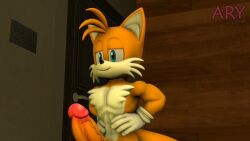 3d 3d_animation 720p amy_rose animated anthro aryentai badger bat cuckold cuckolding female fox hedgehog rouge_the_bat sally_acorn sega sonic_(series) sonic_boom sonic_the_hedgehog sonic_the_hedgehog_(series) sound sticks_the_badger tagme tails_the_fox video whisper_the_wolf wolf