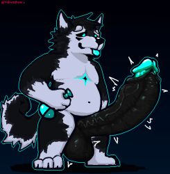 anthro balls belly big_balls big_penis black_body black_fur blue_hair canid canine canis domestic_dog fur genitals hair hi_res husky male mammal nordic_sled_dog penis potion potion_bottle short_stack solo spitz throbbing tongue tongue_out vein veiny_penis velvetdraw