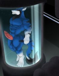 absurd_res anthro canid canine croiyan erection fur genitals hi_res laboratory laboratory_equipment male male/male mammal muscular muscular_anthro muscular_male nude pecs penis scientific_instrument sergal simple_background solo thurui