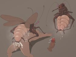 1boy1girl 1girls alternate_version_at_source animal_genitalia antennae_(anatomy) arthropod arthropod_abdomen arthropod_abdomen_cloaca arthropod_abdomen_genitalia arthropod_abdomen_penetration balls blattodea blush bodily_fluids censor_bar censored claws cloaca cloaca_juice cloaca_juice_string cockroach corruption cum cum_in_cloaca cum_in_pussy cum_inside cum_leaking disembodied_penis eyelashes faceless_human faceless_male female female_on_top feral feral_penetrated genital_fluids genitals heart hi_res human human_on_feral human_penetrating human_penetrating_feral insect_girl insect_wings insects interspecies lying male male/female male_on_feral mammal monster_girl multi_leg multi_limb on_back penetration penis precum pussy_juice sex spread_cloaca spread_wings spreading sweat toxic0266 vaginal_penetration vein veiny_penis wings zoophilia