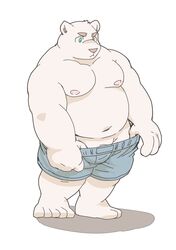 1boy 2021 anthro barely_visible_genitalia barely_visible_penis belly blue_eyes clothing ellie_saionji genitals hi_res kemono male male_only mammal moobs navel nipples overweight overweight_male penis polar_bear simple_background solo underwear ursid ursine white_background