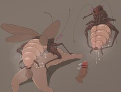 1boy1girl 1girls alternate_version_at_source animal_genitalia antennae_(anatomy) arthropod arthropod_abdomen arthropod_abdomen_cloaca arthropod_abdomen_genitalia arthropod_abdomen_penetration artist_request balls blattodea blush bodily_fluids censor_bar censored claws cloaca cloaca_juice cloaca_juice_string cockroach cum cum_in_pussy cum_inside disembodied_penis eyelashes faceless_human faceless_male female female_on_top feral feral_penetrated genital_fluids genitals heart hi_res human human_on_feral human_penetrating human_penetrating_feral insect_girl insect_wings insects interspecies lying male male/female male_on_feral mammal monster_girl multi_leg multi_limb on_back penetration penis precum pussy pussy_juice sex spread_cloaca spread_wings spreading sweat toxic0266 vaginal_penetration vein veiny_penis wings zoophilia