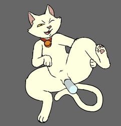 cartoon_network catscatscatscatscats collar collar_only domestic_cat felid feline felis female feral genitals hbo_max hi_res infinity_train mammal presenting presenting_pussy pussy samantha_(infinity_train) solo spread_legs spreading