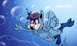 air_bubbles anthro avian balls beak bird erection feathers genitals gordy_owl hair hi_res imnot3ponfat male nude owl penis swimming tagme talons underwater water