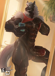 1boy abs anthro balls big_penis canid canine canis cellphone erection foreskin genitals hi_res humanoid_genitalia humanoid_penis male male_only mammal mirror mirror_selfie muscular muscular_anthro muscular_male navel nexus nipples pecs penis phone quads selfie solo tuft vein veiny_penis wolf