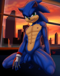 4:5 abs anthro blue_body blue_fur city clothing dgemporium eulipotyphlan fuckboy fur gay genitals gloves green_eyes handwear hedgehog hi_res male mammal muscular muscular_anthro muscular_male nipples nude pecs penis smile solo solo_focus sonic_(series) sonic_the_hedgehog sonic_the_hedgehog_(film) sonic_the_hedgehog_(series)