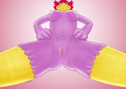 absurd_res anthro artyharty_(artist) avian beak bird blue_eyes breasts feathers female first_person_view genitals hi_res looming natasha_(artyharty) nipples non-mammal_breasts picid pink_body pink_feathers pussy smile smirk solo woodpecker yellow_beak