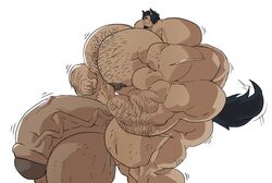 animal_ears big_ass big_muscles black_hair chest_hair facial_hair fat_ass flaccid flexing grow growing growth hairy hairy_arms hairy_balls hairy_chest hairy_legs hairy_male hairy_thighs huge_muscles human hyper hyper_balls hyper_genitalia hyper_muscles hyper_penis hyper_testicles looking_at_penis male male_focus male_only muscle muscles muscular muscular_arms muscular_back muscular_legs muscular_male muscular_thighs nude remert scar scar_on_arm solo solo_male tail tan_skin throbbing_penis veiny veiny_penis