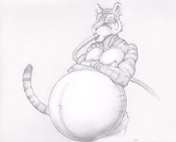 2014 anthro belly belly_inflation furry inflation ipipo male male_only navel solo_male tiger