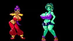 2girls animated belly_dancer casetermk dancing edit female green_skin knees_together_feet_apart large_breasts monster_girl music pigeon-toed pointy_ears ponytail purple_hair rottytops shantae shantae_(character) smooth_skin sound tagme video zombie zombie_girl