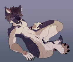 accessory andromorph anthro bite biting_lip canid canine canis claws domestic_dog eyewear fangs feral german_shepherd glasses herding_dog hi_res intersex male mammal pastoral_dog paws scar self-harm solo teeth trans_(lore) transsexual veegrasshopper