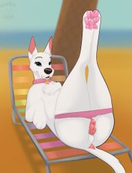 scooby-dee from scooby-doo by nauticalcanine