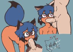 michiru kagemori from brand new animal by echossmetches