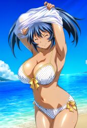 ai_generated bashoku_youjou beach big_breasts bikini closed_eyes happy happy_female ikkitousen ikkitousen_dragon_destiny ikkitousen_great_guardians removing_shirt shirt_lift shirt_up standing