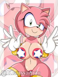 amy_rose bouncy_spring bumper eulipotyphlan klaussaurio mobian_(species) pasties sega sonic_(series) sonic_the_hedgehog_(series)