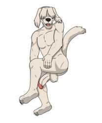 beastars canine canine collot_(beastars) erection grin humanoid humanoid_penis lifting_leg male male_only smile