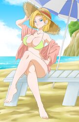 1girls android android_18 beach breasts caisama cleavage dragon_ball dragon_ball_z female_only large_breasts no_eyewear shounen_jump solo solo_female