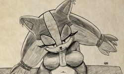 anthro badger duo eulipotyphlan fellatio female hedgehog hi_res leedoesit male male/female mammal mustelid musteline oral penile sega sex sonic_(series) sonic_boom sonic_the_hedgehog sonic_the_hedgehog_(series) sticks_the_badger