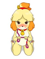 animal_crossing canid canine canis collar domestic_dog domination exhibitionism female harness hi_res isabelle_(animal_crossing) listen_wind mammal nintendo nude simple_background video_games white_background