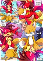 blaze the cat from red fox district (comic) by bbmbbf