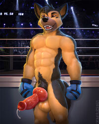 1boy 2021 4:5 abs animal_genitalia animal_penis anthro balls big_penis boxing_gloves boxing_gloves_only canid canine canine_penis canis clothing domestic_dog erection fighting_ring genitals german_shepherd glistening glistening_genitalia glistening_penis gloves gloves_only handwear handwear_only herding_dog hi_res katarhein knot male male_only mammal maurick mostly_nude navel open_mouth pastoral_dog penis solo standing vein