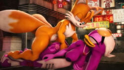 3d absurd_res all_fours anthro avian big_breasts big_penis bird breasts canid canine doggy_style duo female fox from_behind_position genitals hi_res hirundinid male male/female mammal oscine passerine penis public sex sonic_(series) sonic_riders sonicfoxhound swallow_(bird) tails voyeur wave_the_swallow