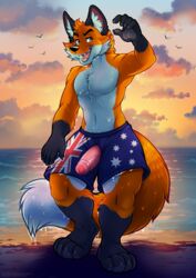 1boy 2019 4_toes 5_fingers anthro barefoot beach black_body black_ears black_fur black_nose blue_eyes bottomwear boxers_(clothing) canid canine canis cheek_tuft claws clothed clothing detailed_background digital_media_(artwork) dipstick_tail dripping erection facial_tuft feet fingers flag fluffy fluffy_tail foreskin fox fur genitals glistening glistening_genitalia glistening_penis hi_res humanoid_genitalia humanoid_penis inner_ear_fluff male male_only mammal multicolored_body multicolored_tail muscular muscular_anthro muscular_male muttasaur open_mouth orange_body orange_fur orithan outside partially_clothed pawpads paws pecs penis pink_penis pinup poking_out pose sea seaside shirtless sky smile solo standing sunset teeth toe_claws toes tongue topless tuft uncut underwear water wet wet_body wet_clothing wet_fur wet_tail wet_underwear white_body white_fur