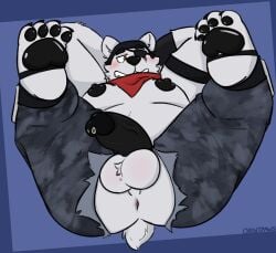 absurd_res anthro anus balls bear blue_background blush bodily_fluids clothing epic_games erection eye_patch eyewear fortnite genital_fluids genitals glans hands_behind_head headgear hi_res lying male mammal nipples on_back orbitpaws pawpads paws penis polar_bear polar_patroller precum scarf simple_background solo torn_clothing ursine white_body