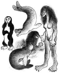 2025 absurd_res anthro aquatic areola avian claws duo european_mythology feet female greek_mythology harpy hi_res ink-the-artist leopard_seal looking_at_viewer mammal membrane_(anatomy) monochrome mythological_avian mythological_creature mythology nipples nude pinniped pubes seal taur toes traditional_media_(artwork) water webbed_feet webbed_hands whiskers