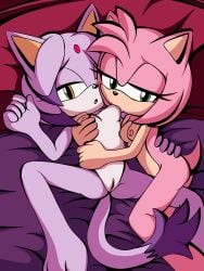 amy_rose blaze_the_cat j_nsfw lesbian lesbians sonic_(series) sonic_the_hedgehog_(series)