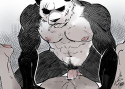 abs absurd_res anthro balls beastars bodily_fluids cum cum_in_ass cum_inside duo erection genital_fluids genitals giant_panda gouhin hi_res male male/male male_only male_penetrated male_penetrating male_penetrating_male mammal muscular muscular_anthro muscular_male nipples pecs penetration penis saury114514 scar ursid