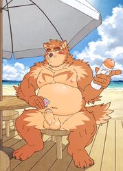 1boy anthro balls beach belly blush brown_body brown_fur canid canine condom detailed_background edit erection fur genitals hi_res humanoid_genitalia humanoid_hands humanoid_penis japanese_text kemono male male_only mammal moobs navel nipples outside overweight overweight_anthro overweight_male penis ryuta-h seaside sexual_barrier_device sitting solo text uncensored water