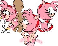 amy rose from sega by citrus1694