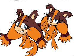 Sonic (Series) Rule 34 Image